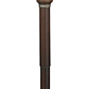 Artist's Easel Cane