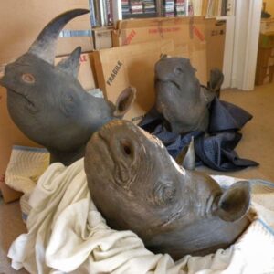 Rhinoceros Head