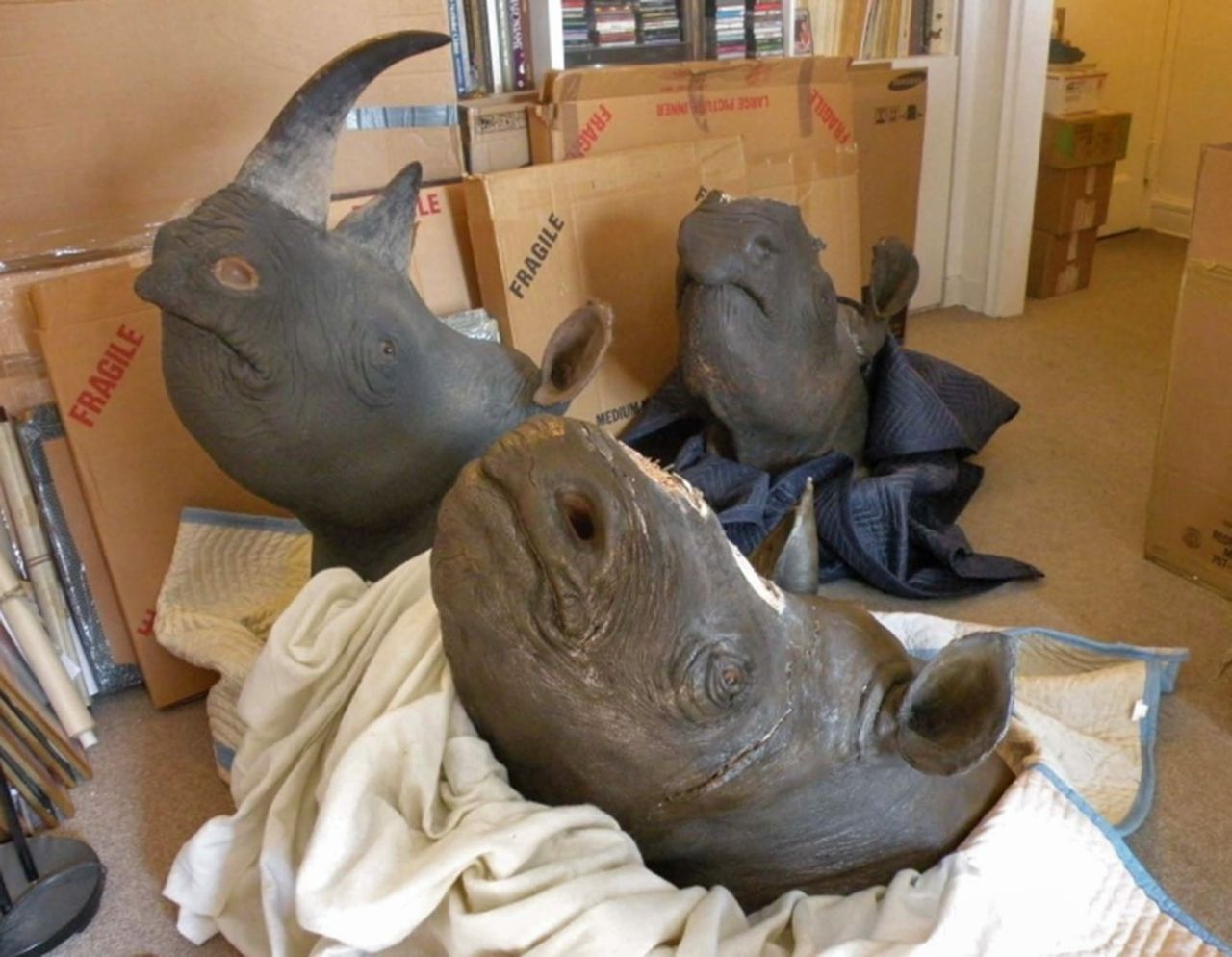 Rhinoceros Head